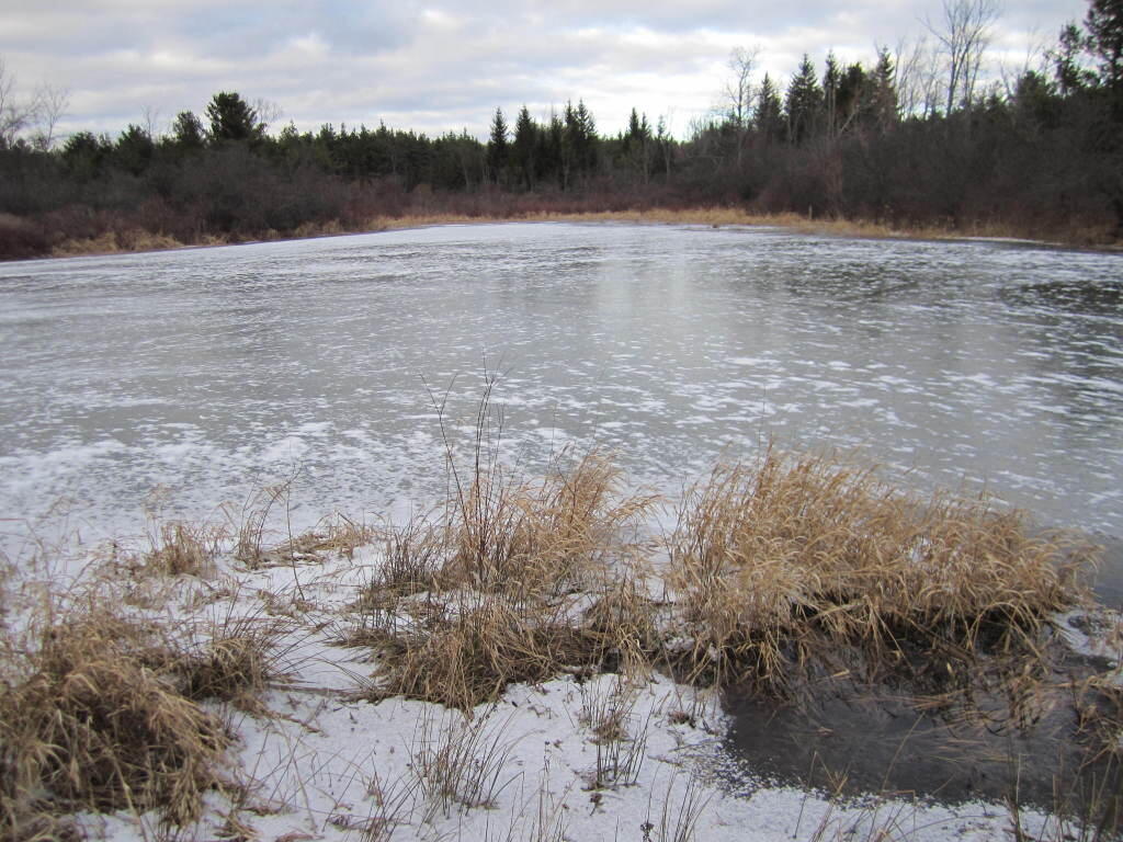 Photo: Ice Covered Pond Photo: Ice Covered Pond