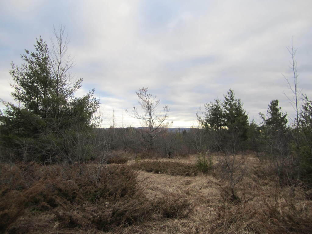 Photo: Near Old Foundation on Salisbury Trail