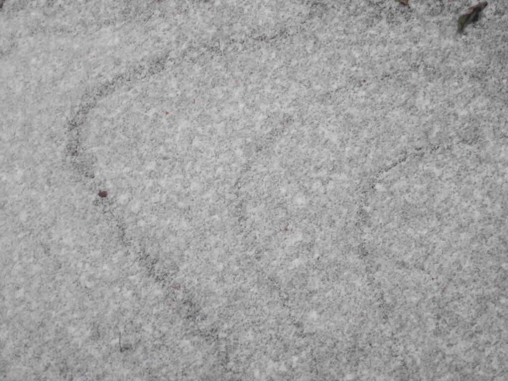 Photo: Ice Patterns