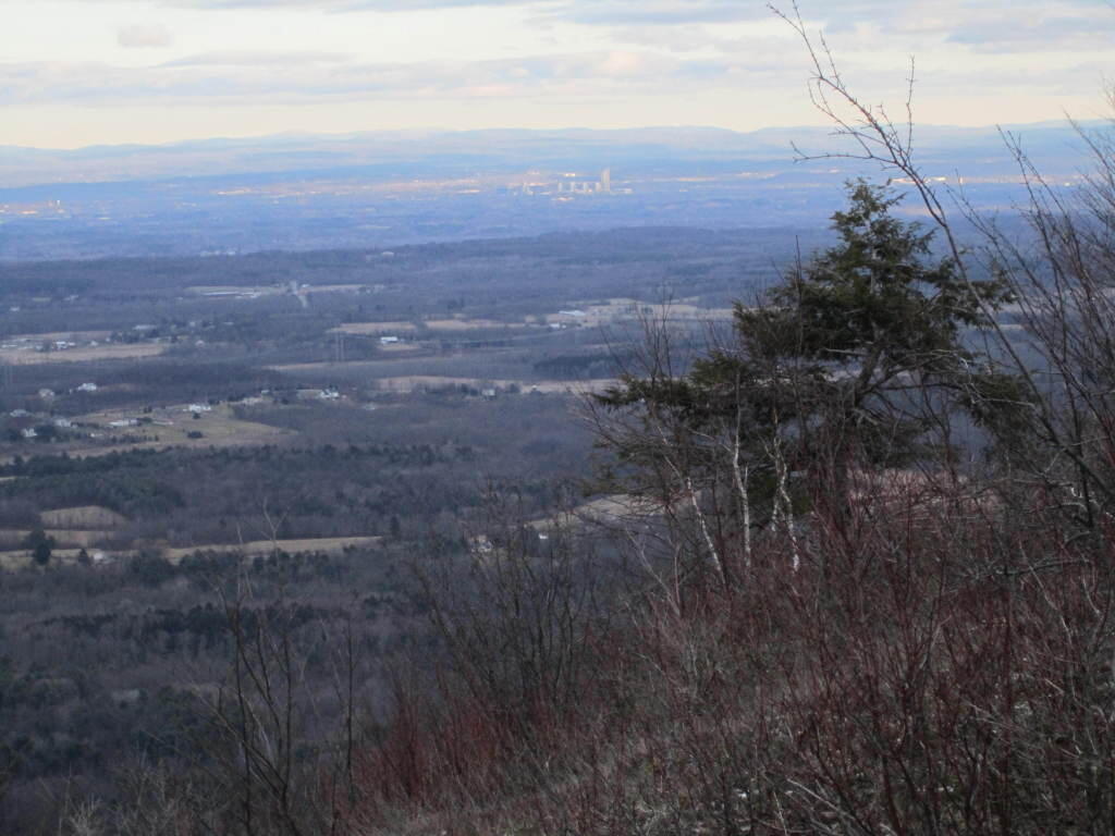 Photo: Albany Photo: Albany