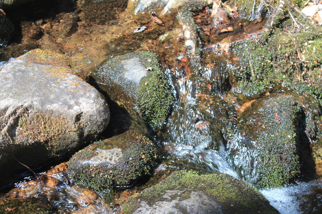Photo: Photo.2013.04.28 13.02.08