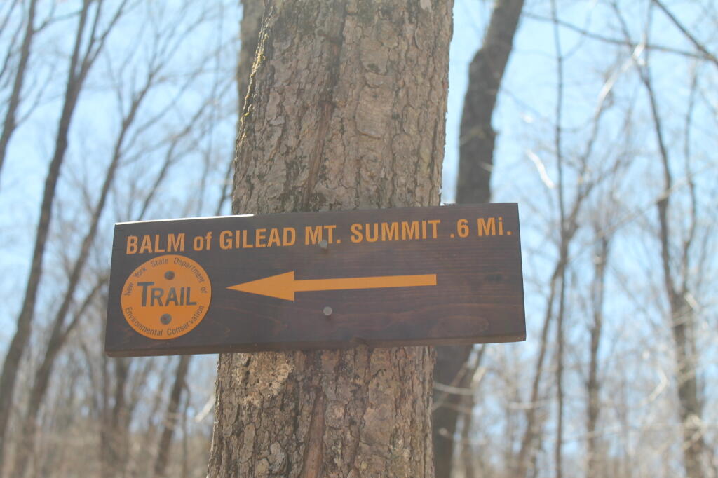 Photo: Only 6/10th Mile to Summit * Photo: Only 6/10th Mile to Summit *