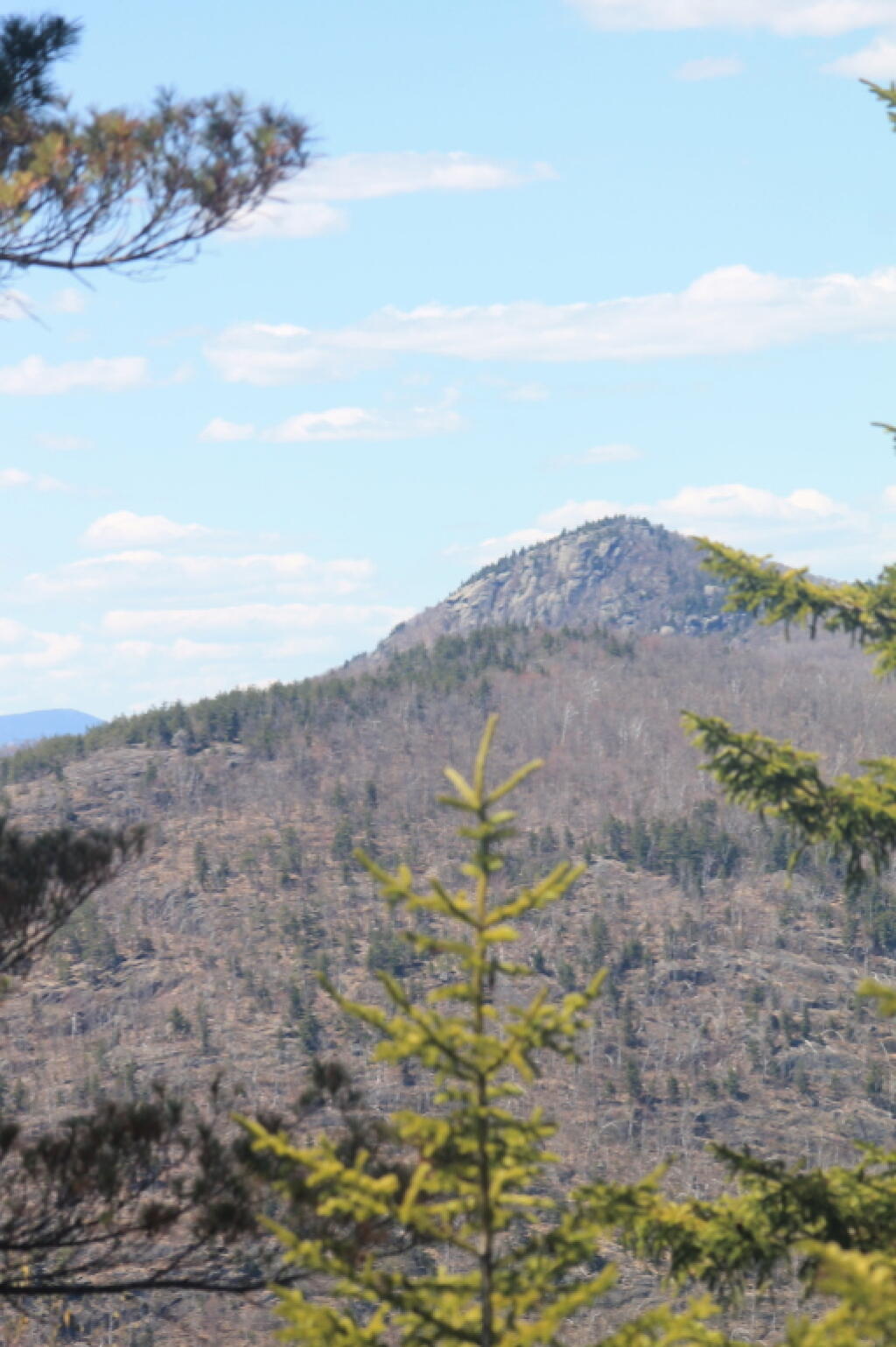 Photo: Hour Pond Mountain