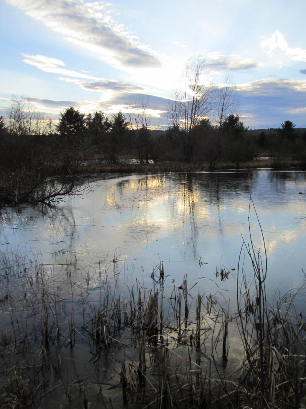 Photo: Icy Fish Pond Photo: Icy Fish Pond