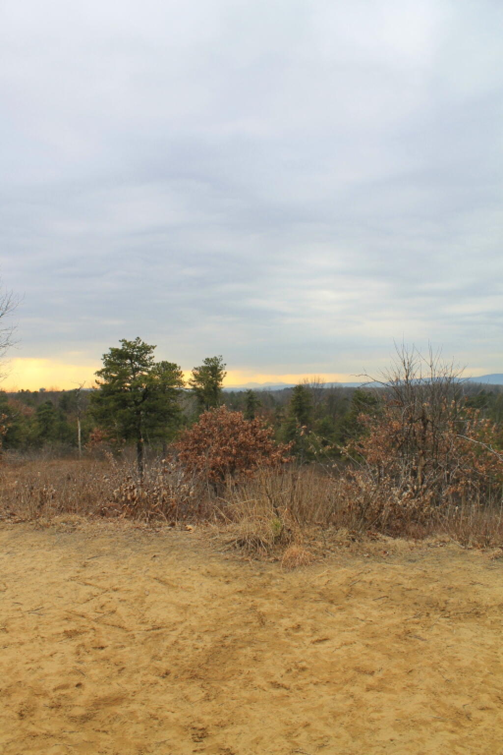 Photo: Overlook Dune Photo: Overlook Dune