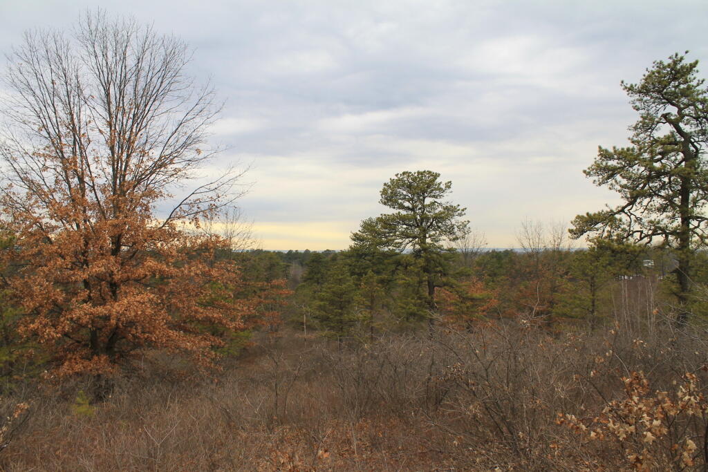 Photo: Overlook Dune 2 Photo: Overlook Dune 2