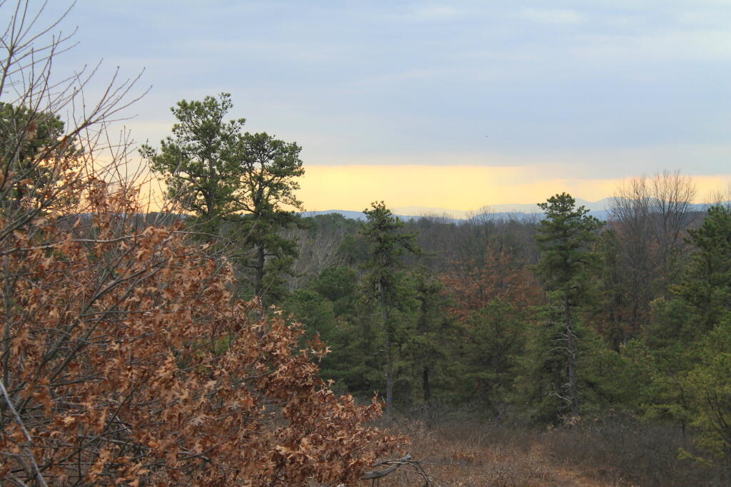 Photo: Overlook Dune 3 Photo: Overlook Dune 3
