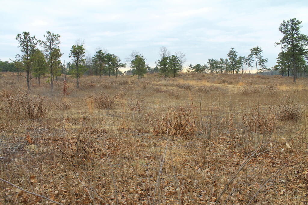 Photo: Along the Yellow Trail Photo: Along the Yellow Trail