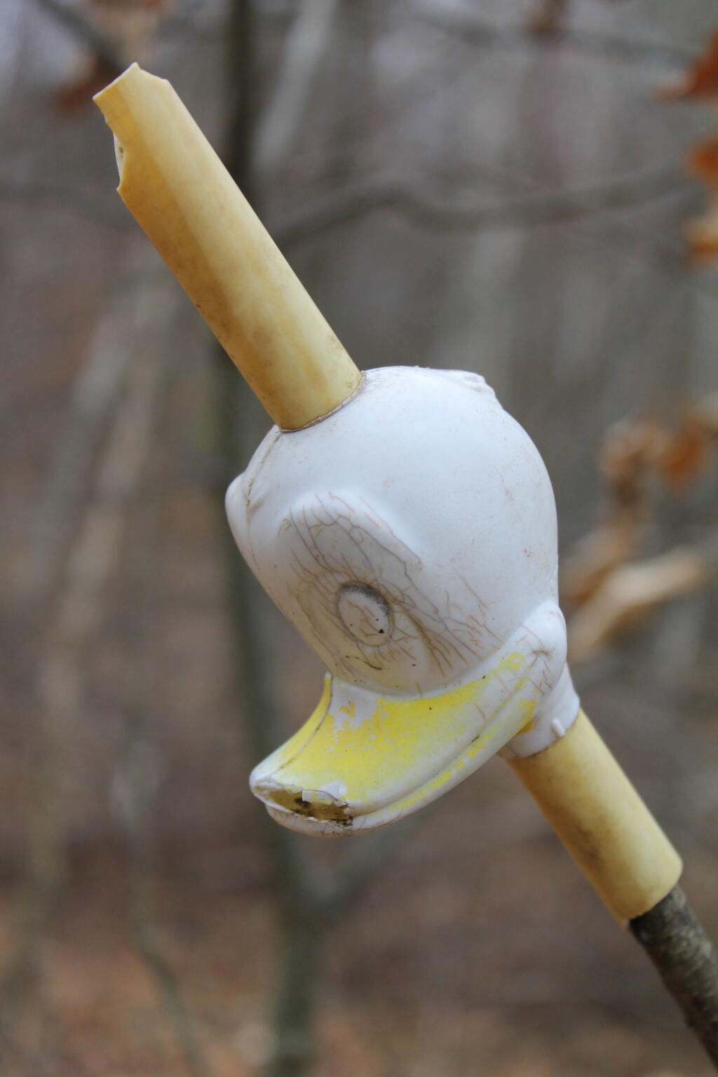 Photo: Dump Duck Photo: Dump Duck