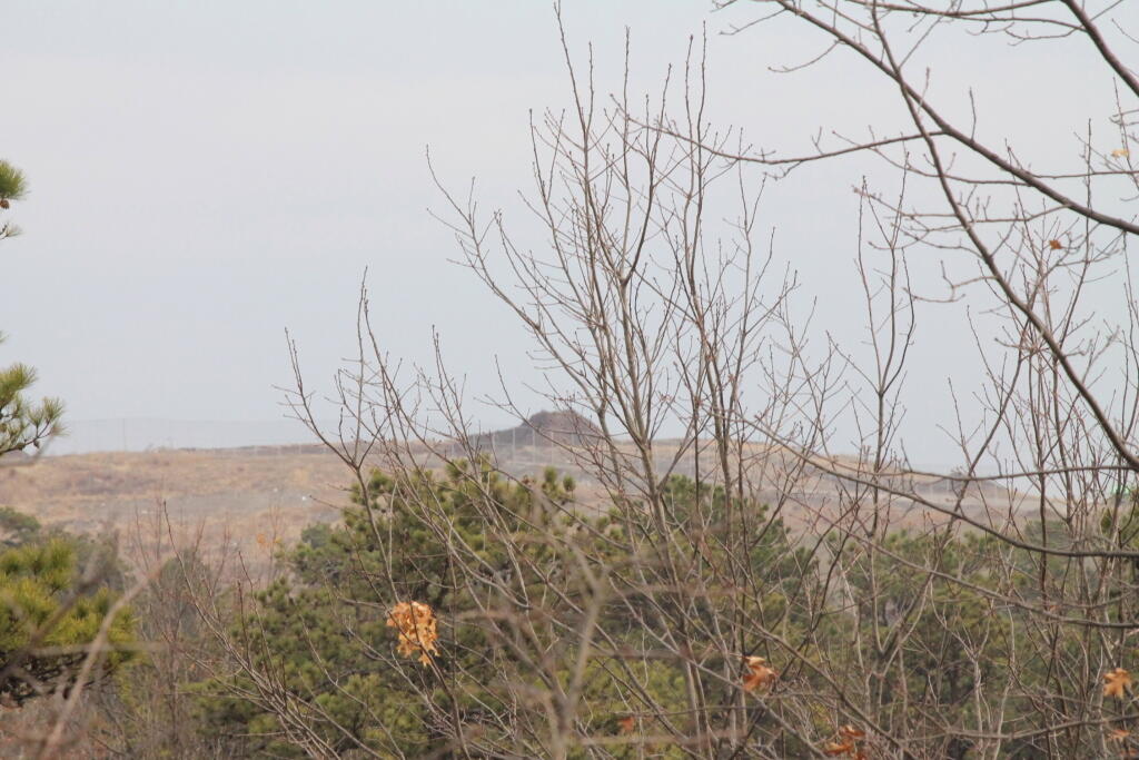 Photo: Landfill from Overlook Dune Photo: Landfill from Overlook Dune