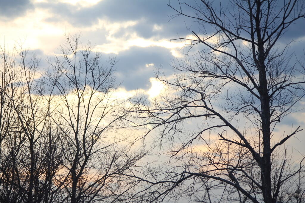 Photo: Sun Breaking Thru Trees Photo: Sun Breaking Thru Trees