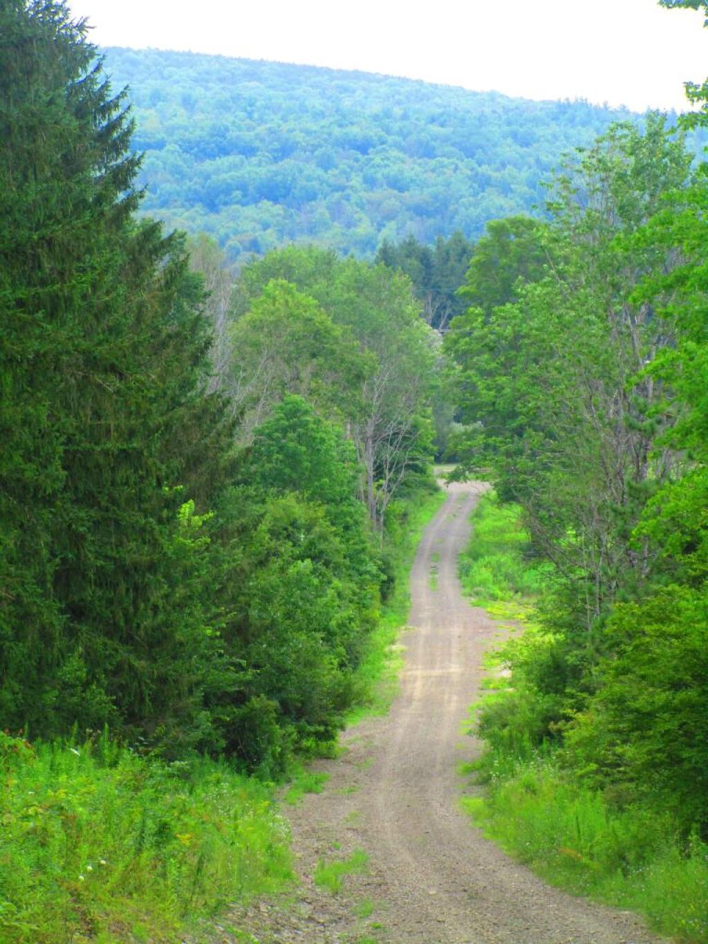 Photo: Maple Lane