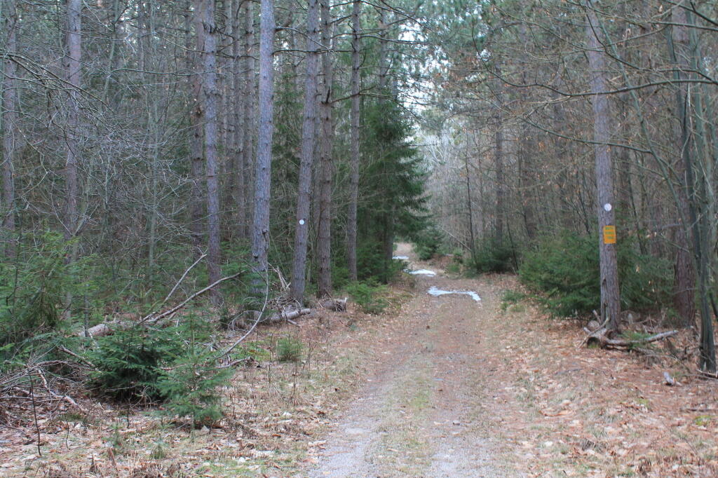 Photo: Along Another Haul Road Photo: Along Another Haul Road