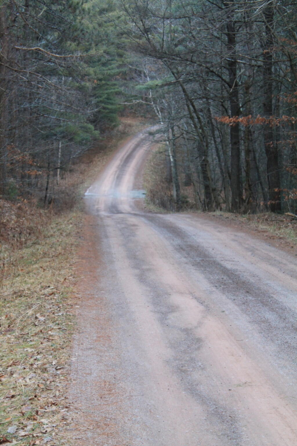 Photo: State Preserve Road