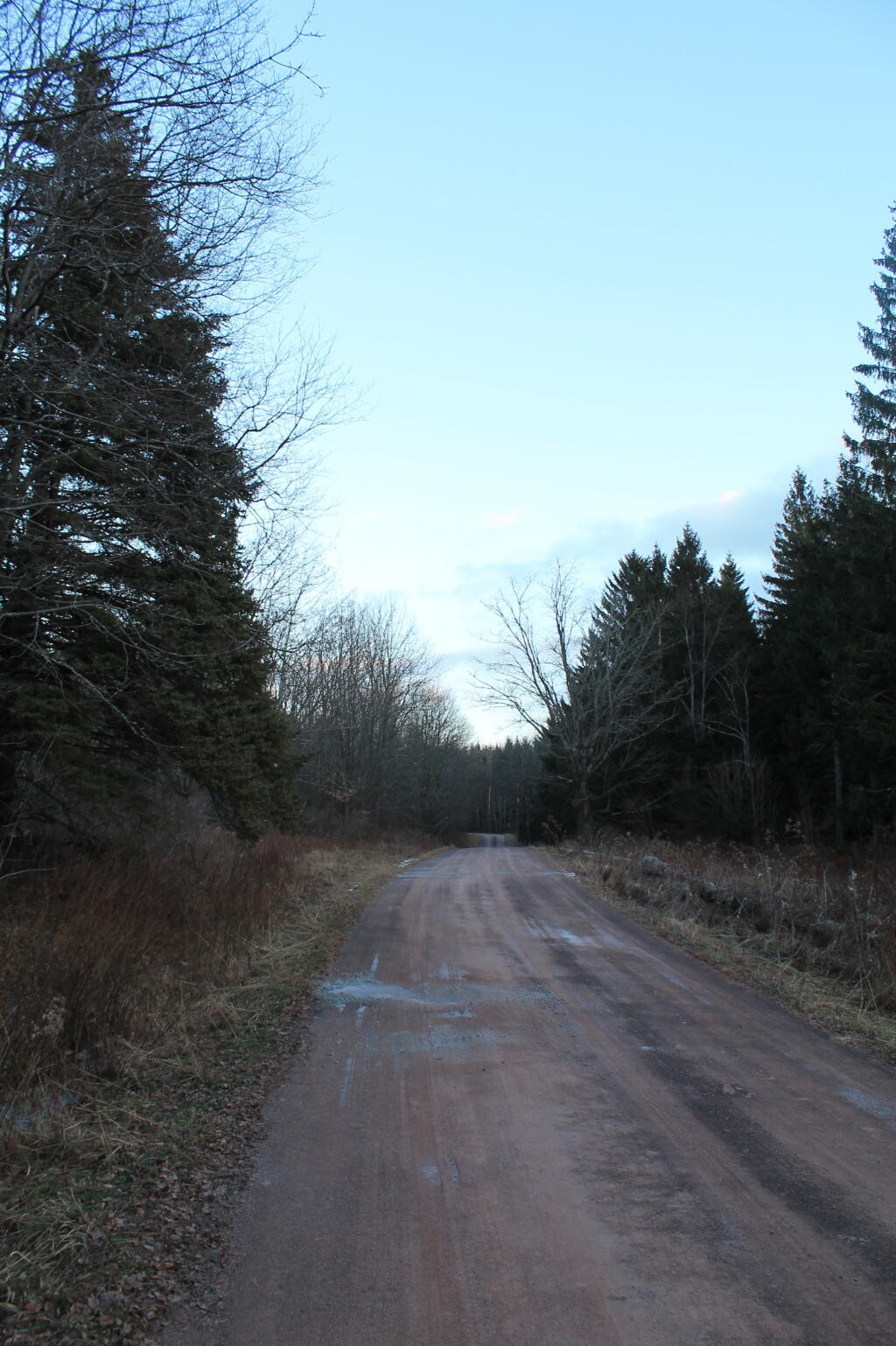 Photo: Along Preserve Road