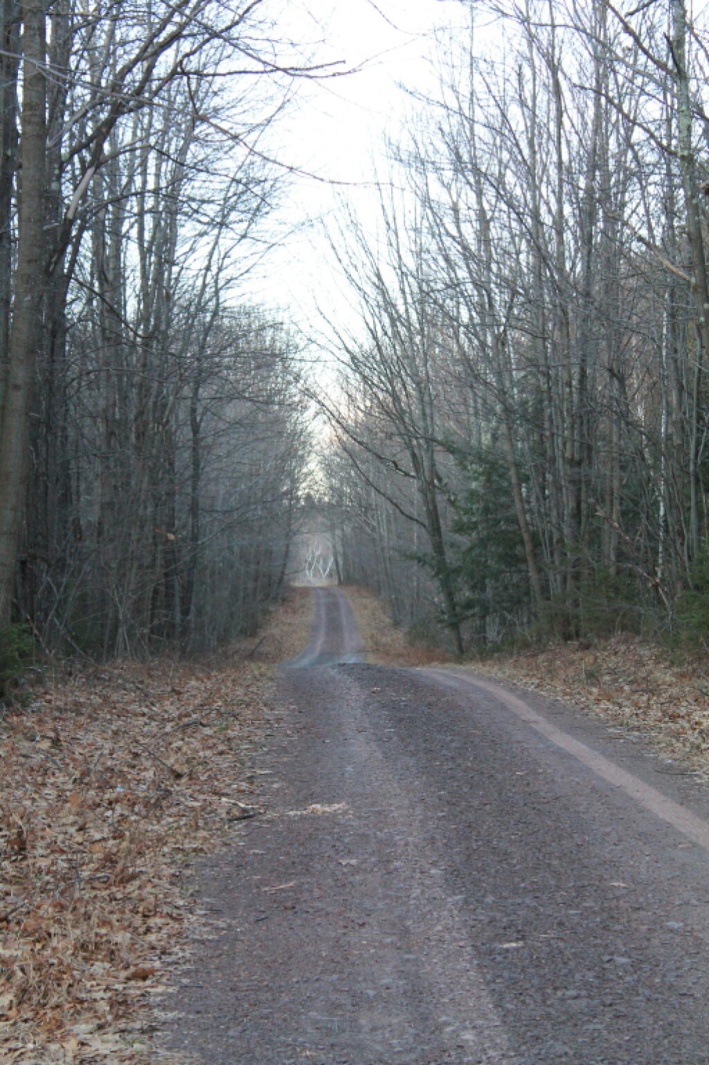 Photo: Along CCC Road Photo: Along CCC Road