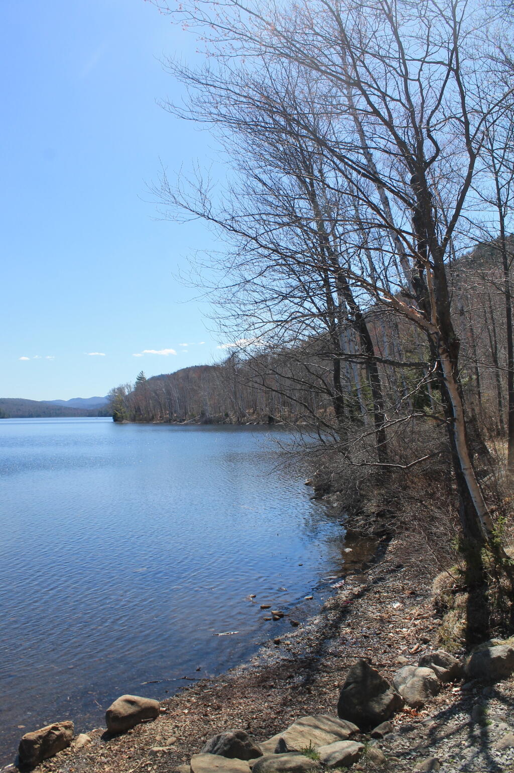 Photo: Along the Lake Photo: Along the Lake