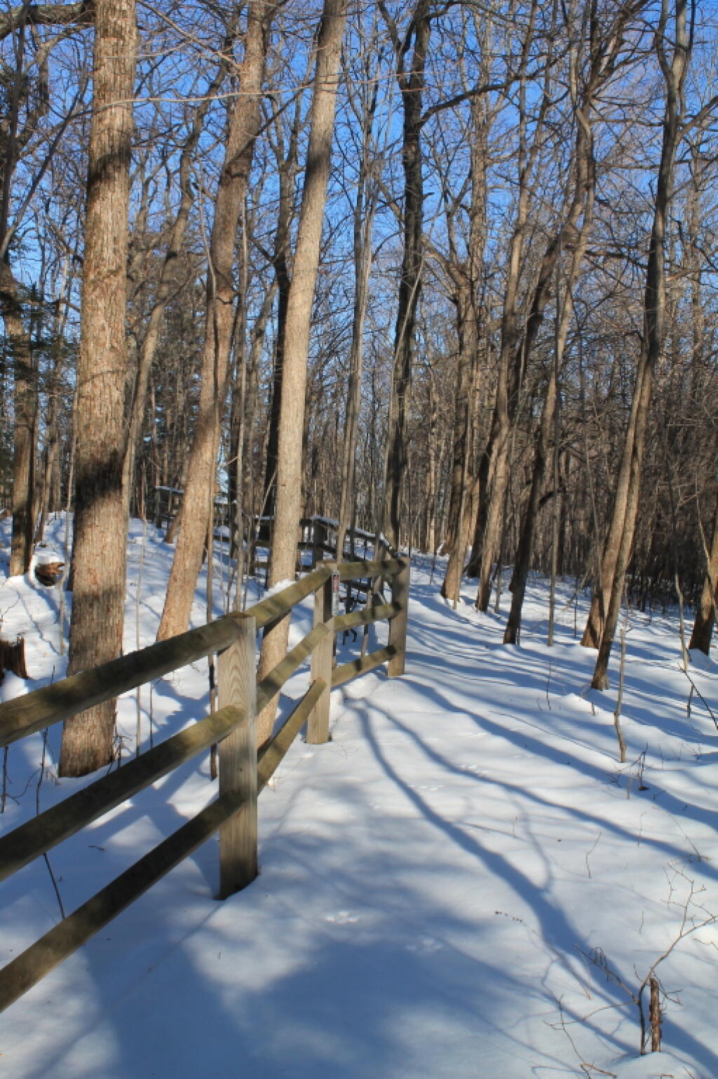 Photo: Fence Line Photo: Fence Line
