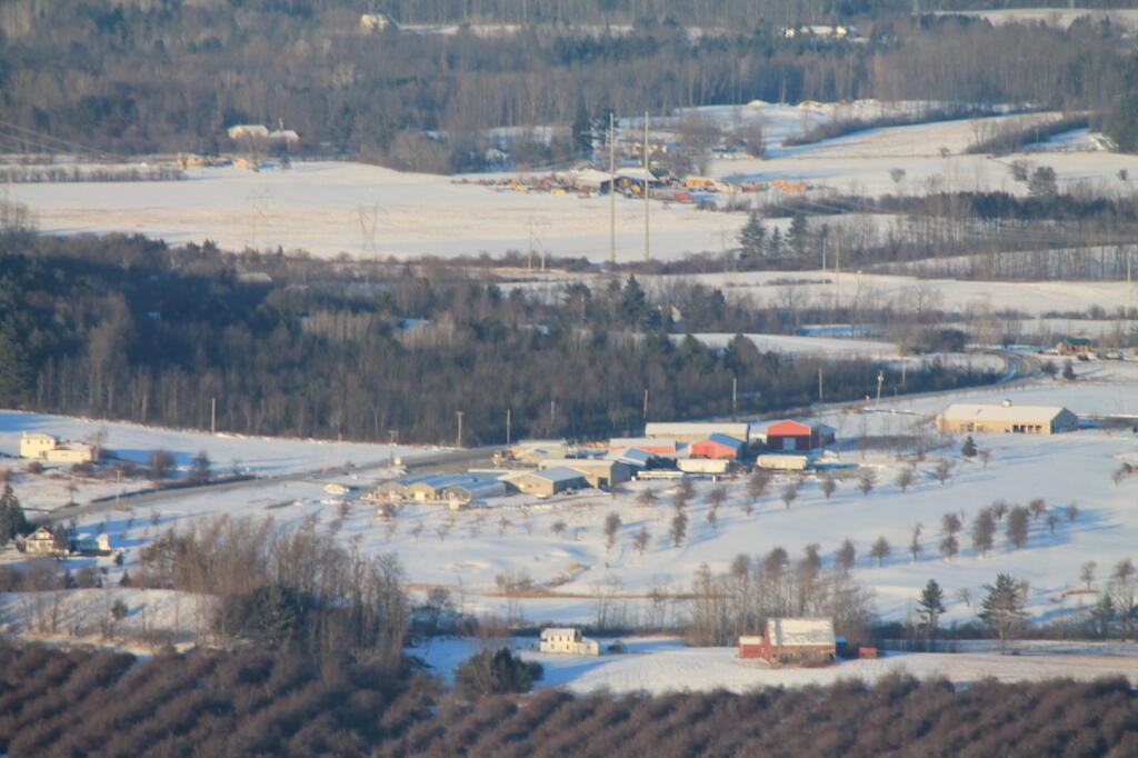 Photo: Altamont Orchards
