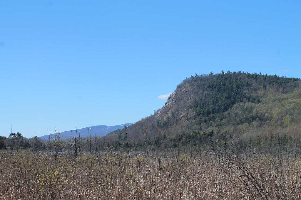 Photo: Cliffs of Moxham Pond Photo: Cliffs of Moxham Pond