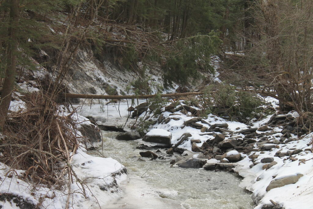 Photo: Eroded Switzkill Creek Photo: Eroded Switzkill Creek