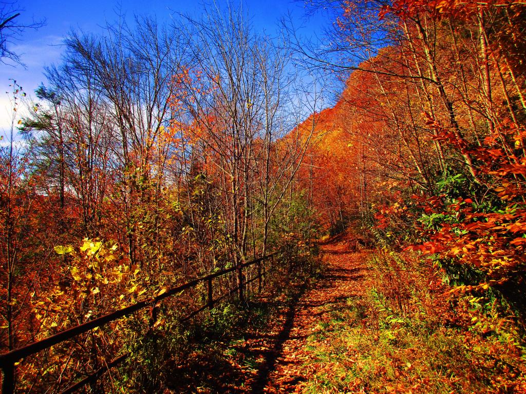 Photo: Coketon - Railroad Grade