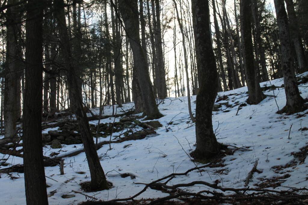 Photo: Up the Hill Photo: Up the Hill