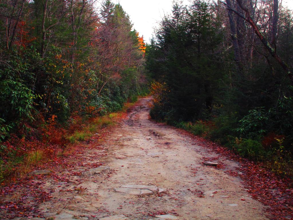 Photo: Canyon Rim Road from Douglas to US 219 is Rather Punishing to Ride on a Mountain Bike Photo: Canyon Rim Road from Douglas to US 219 is Rather Punishing to Ride on a Mountain Bike
