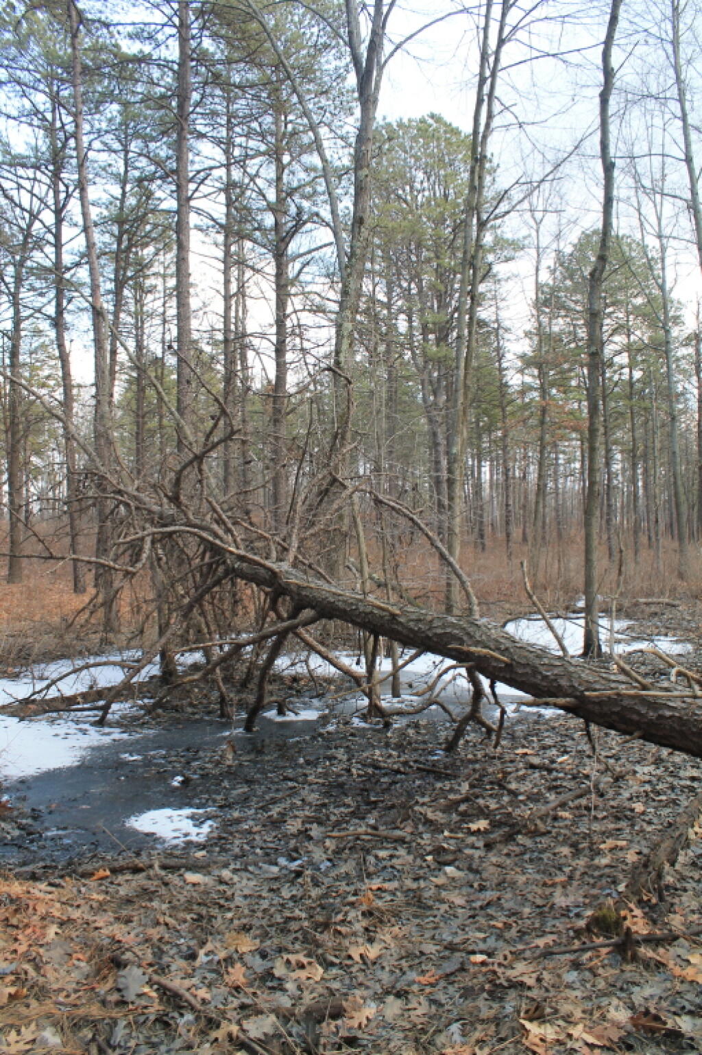 Photo: Still Some Snow and Ice Left Photo: Still Some Snow and Ice Left
