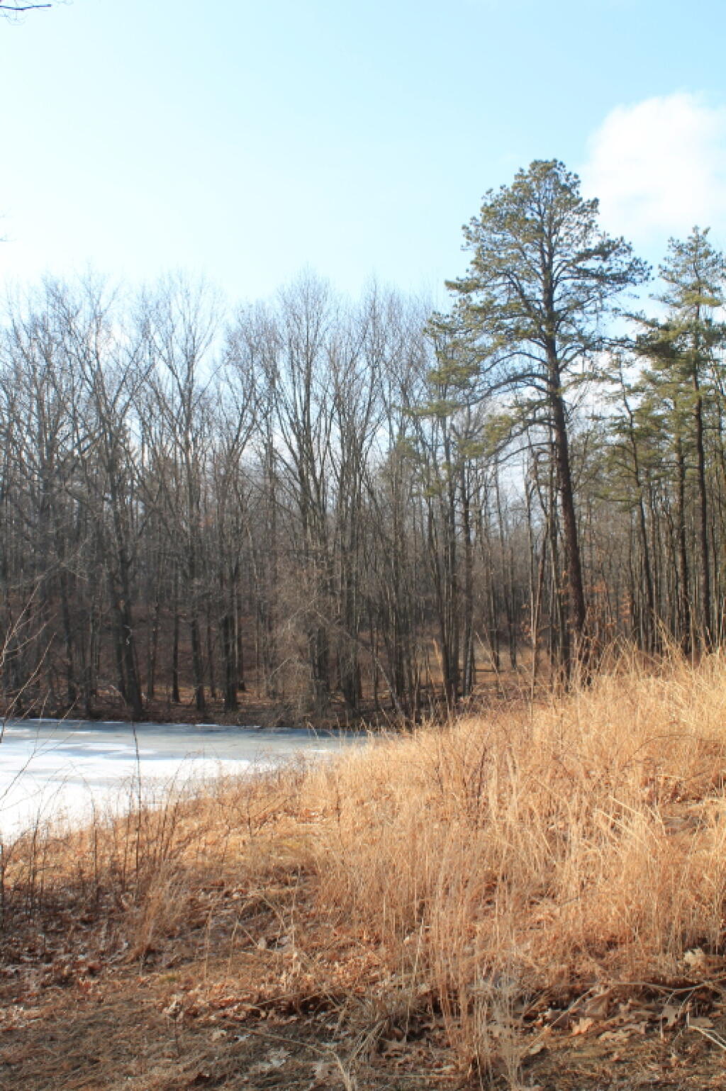 Photo: Pond Photo: Pond