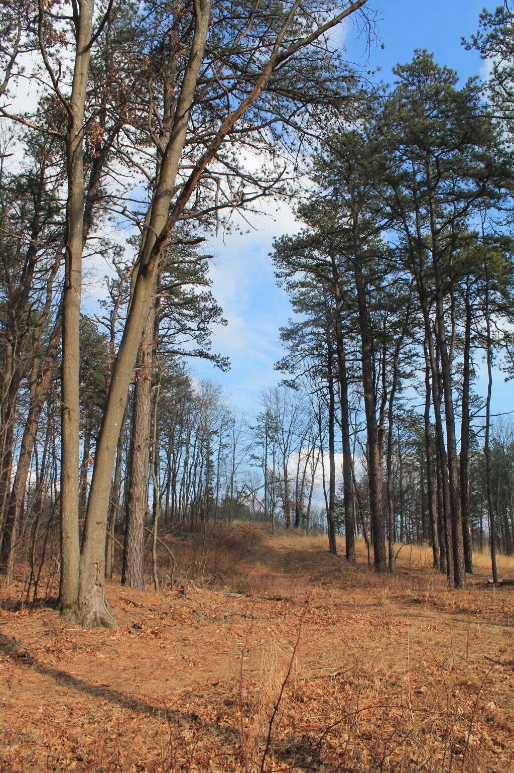 Photo: Slope Photo: Slope