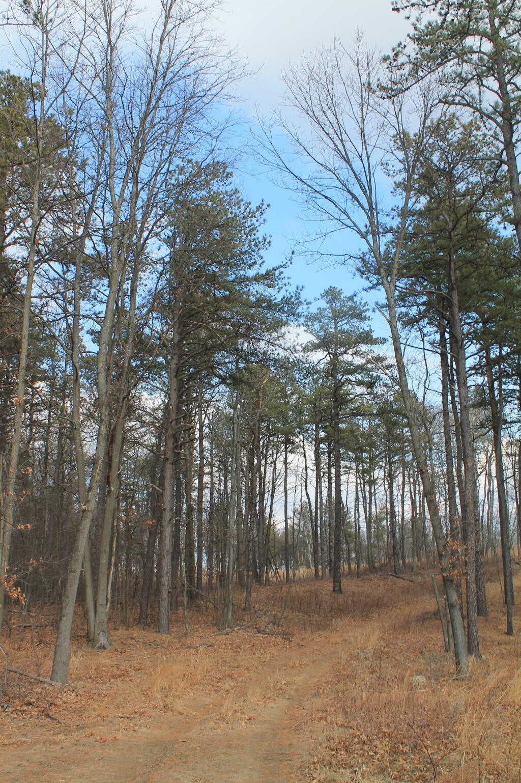 Photo: Trail Photo: Trail