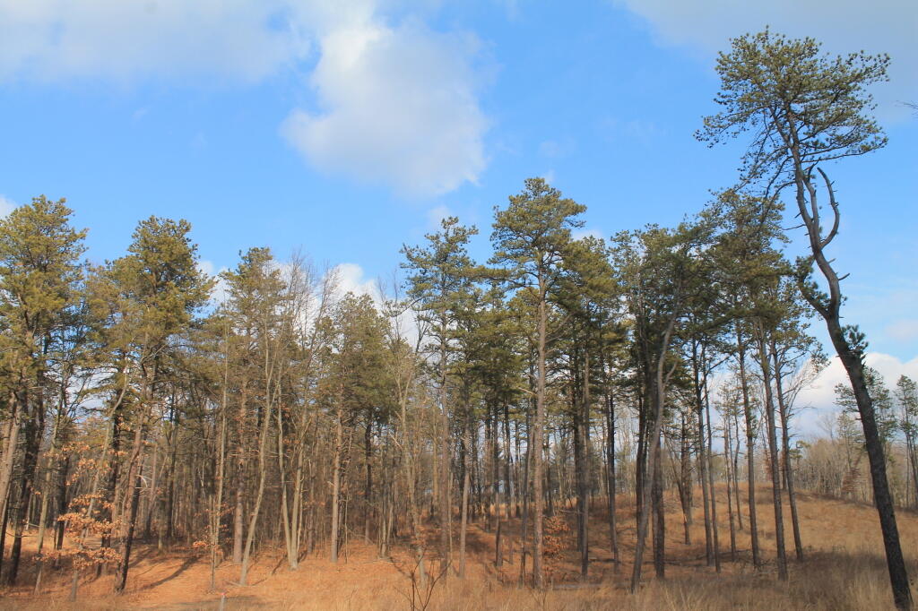 Photo: Untitled Photo: Untitled