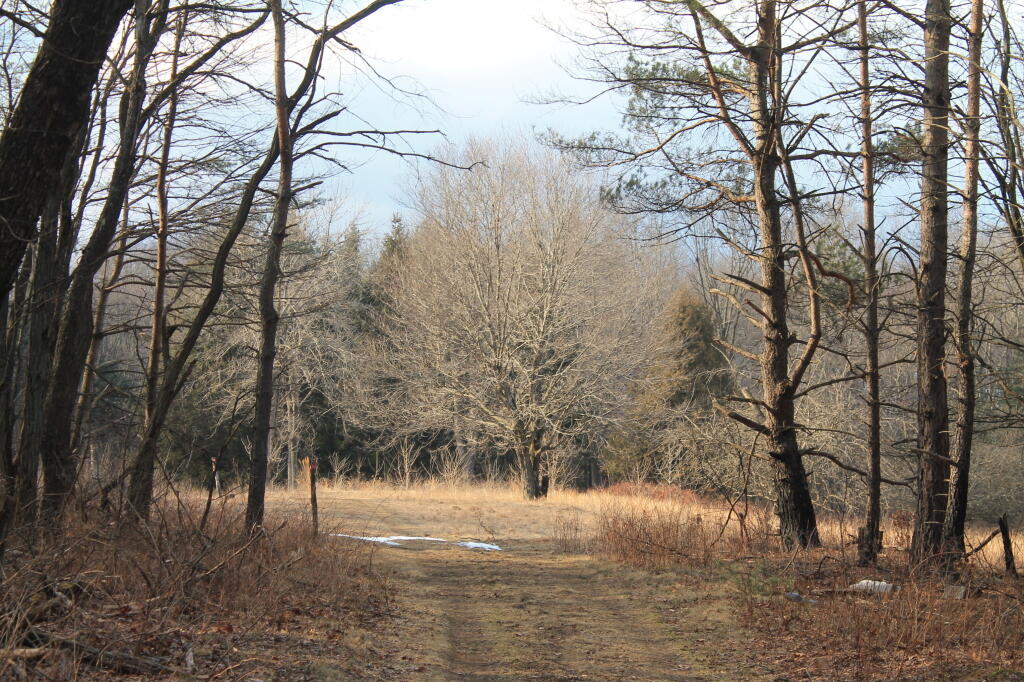 Photo: Entering the Old Meadow Photo: Entering the Old Meadow
