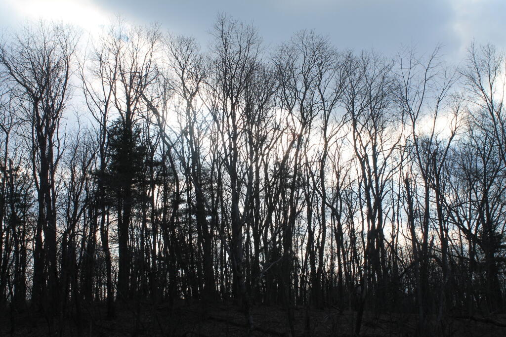 Photo: Gathering Clouds Photo: Gathering Clouds