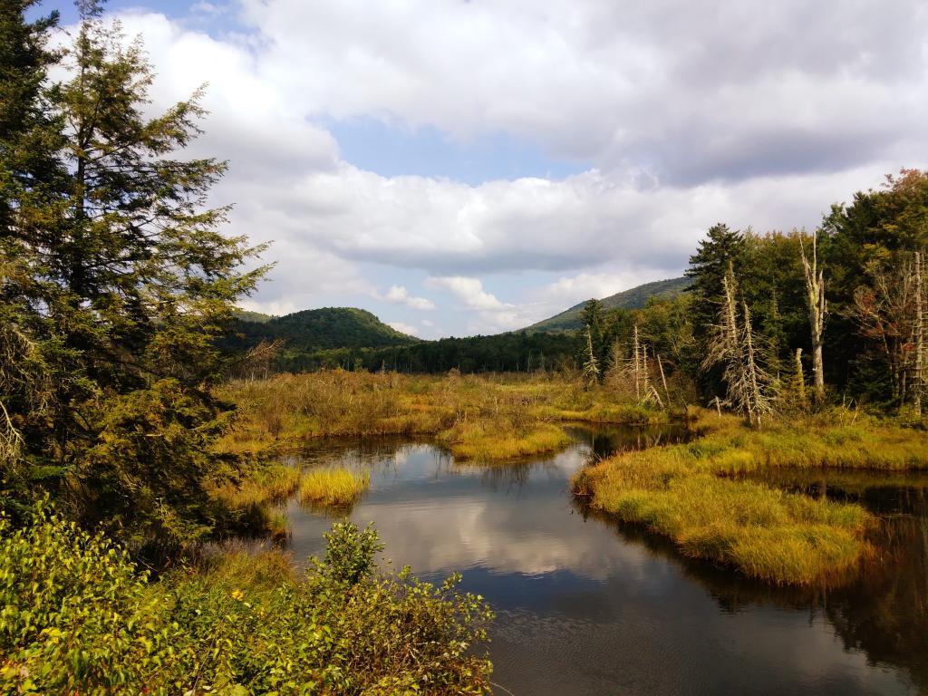 Photo: Kunjamunk River from Long Level Bridge Photo: Kunjamunk River from Long Level Bridge