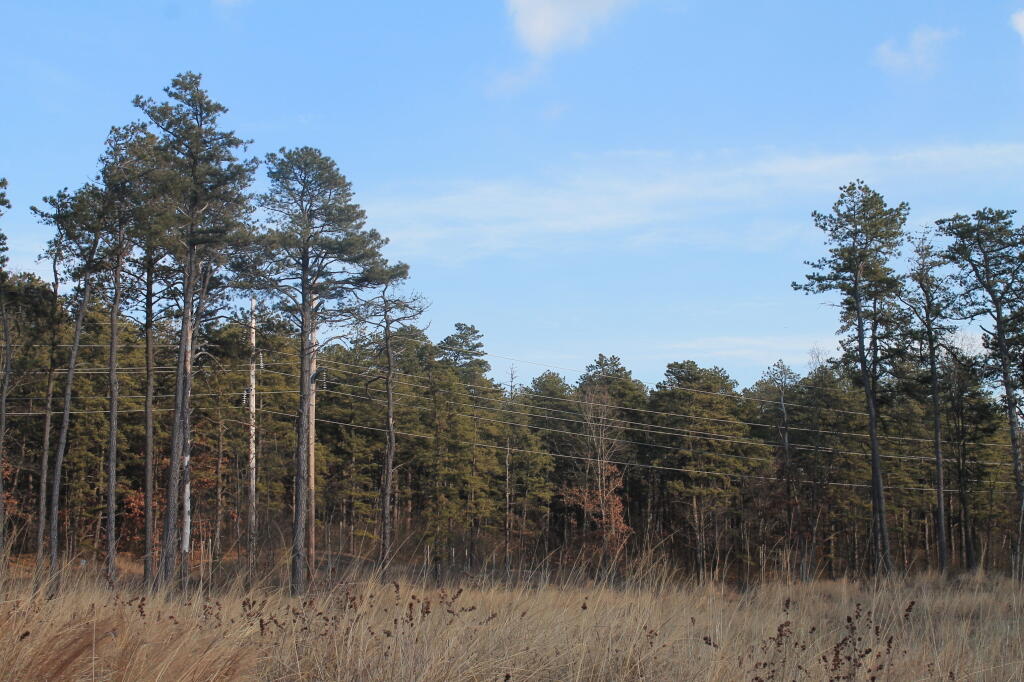 Photo: Power Lines