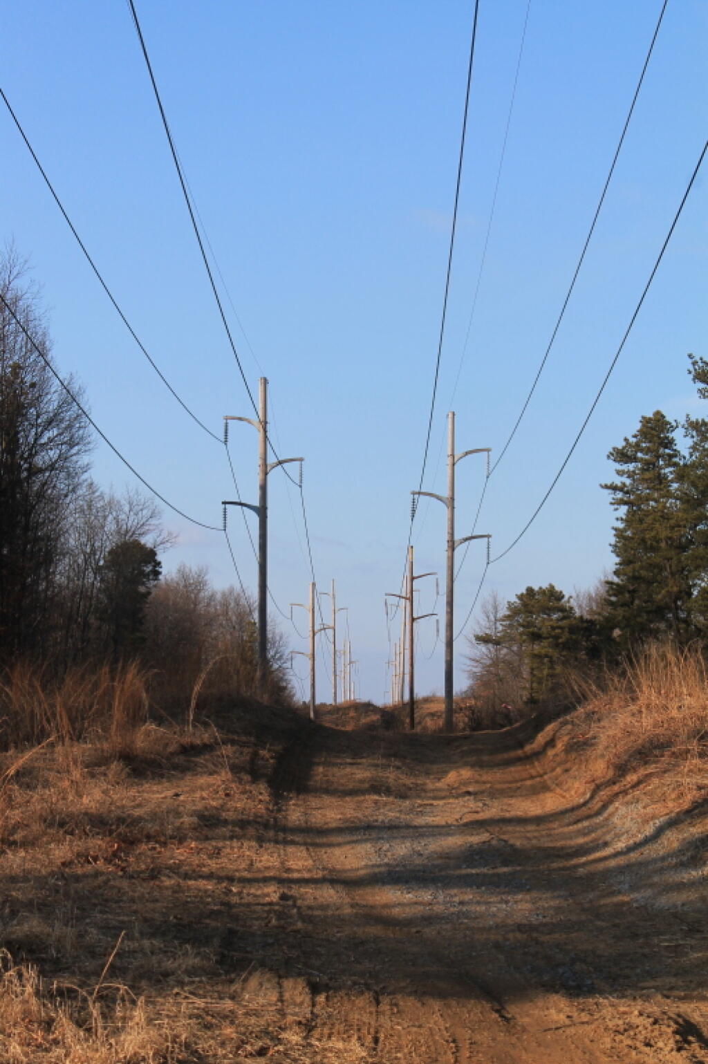 Photo: Electricity Superhighway Photo: Electricity Superhighway