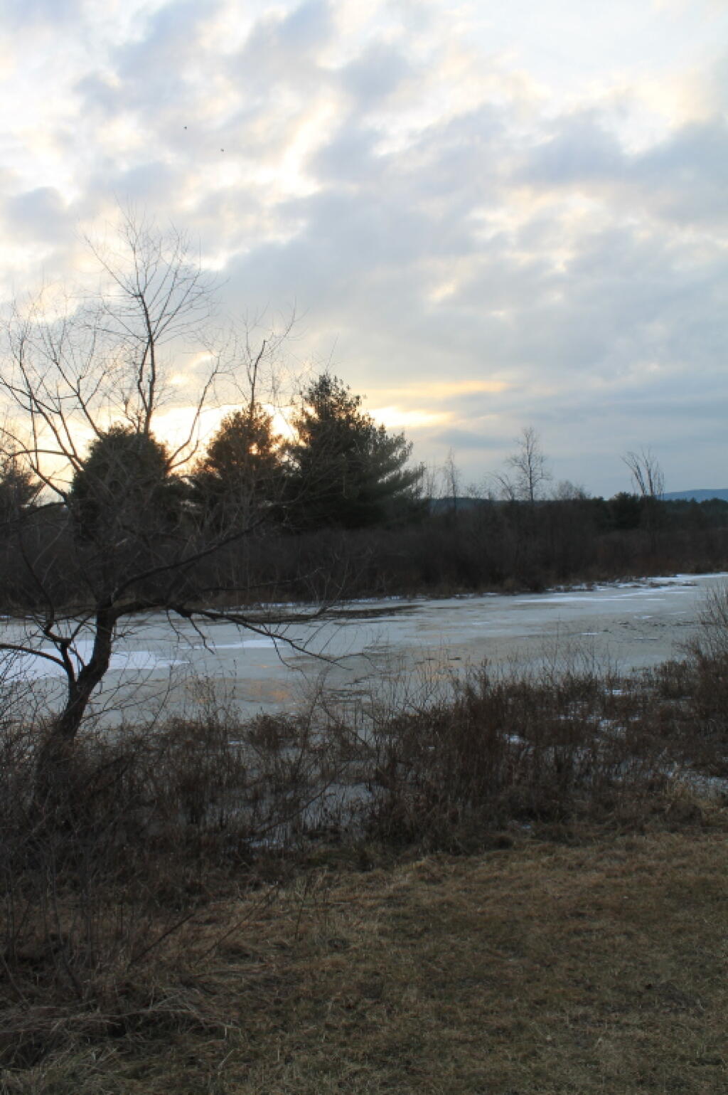 Photo: After Dusk Photo: After Dusk