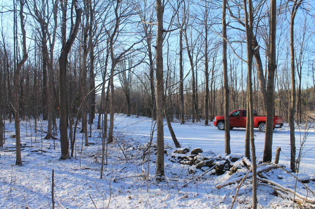 Photo: Starting Out on the Trail Photo: Starting Out on the Trail