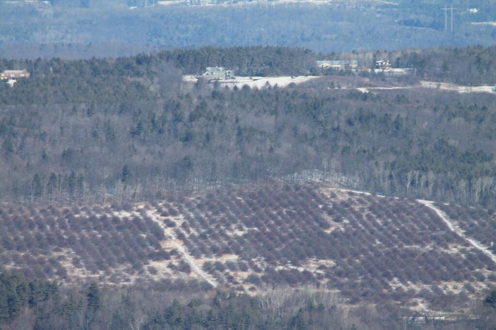 Photo: Orchards