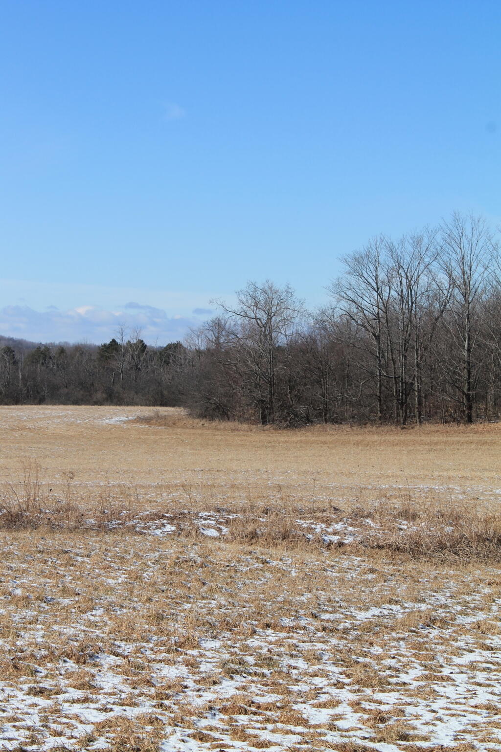 Photo: Fields