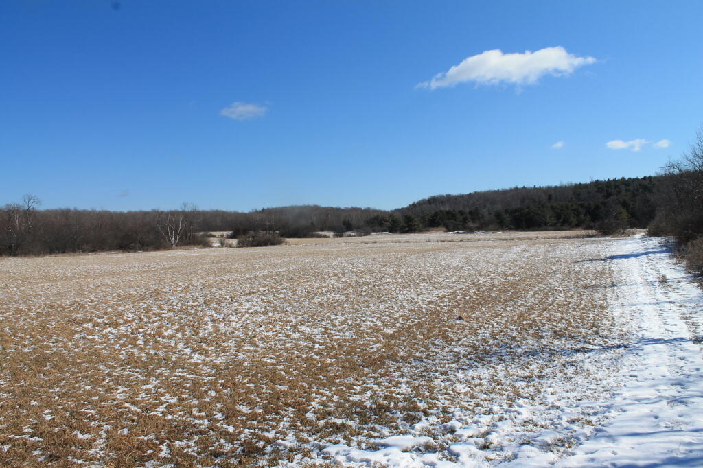 Photo: Snow Along Edge of Field