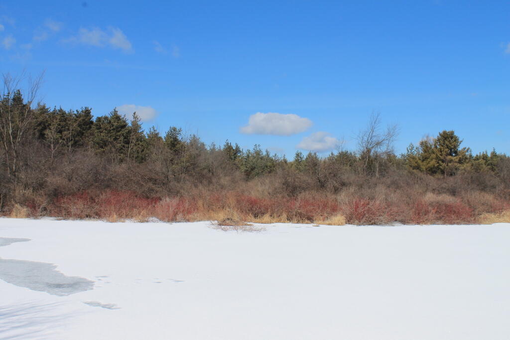 Photo: Frozen Lake
