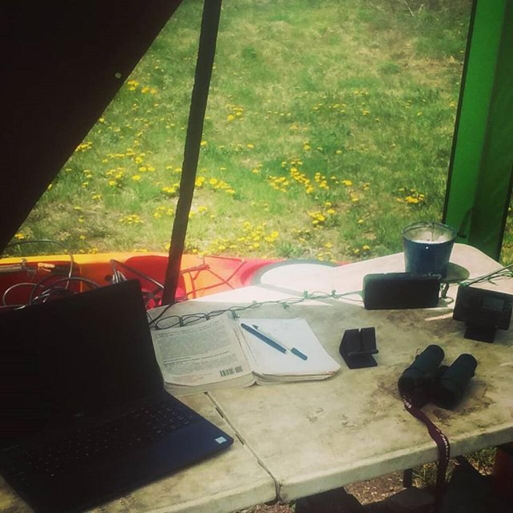 Photo: Not a bad place to work from Photo: Not a bad place to work from