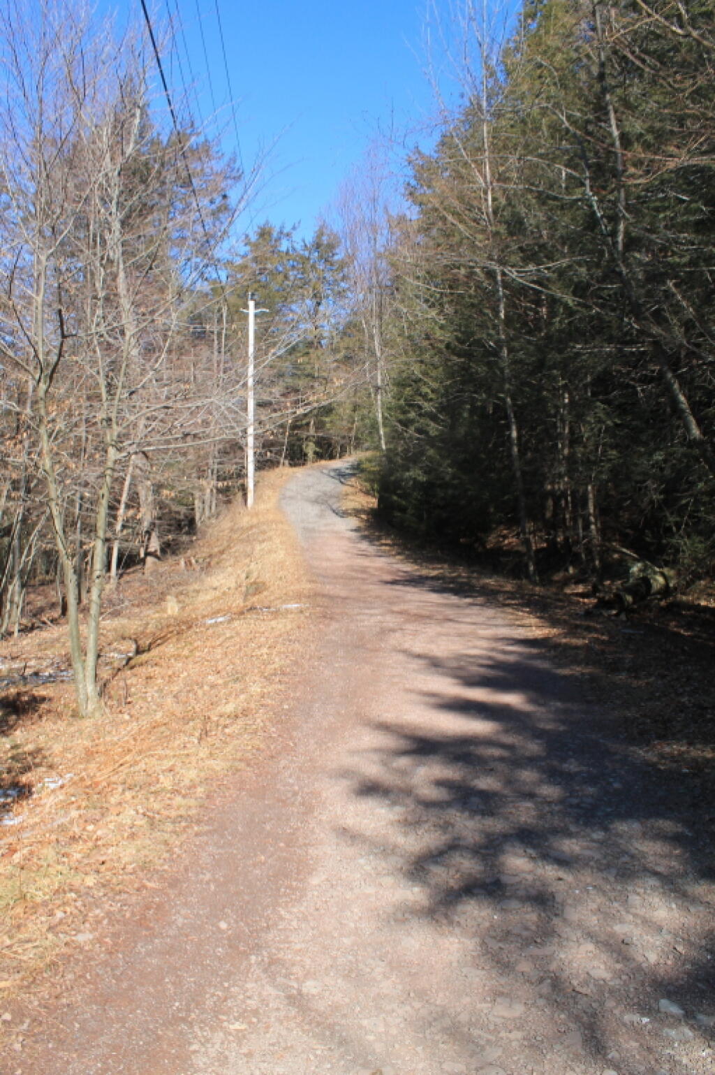 Photo: Snowless Trail Photo: Snowless Trail