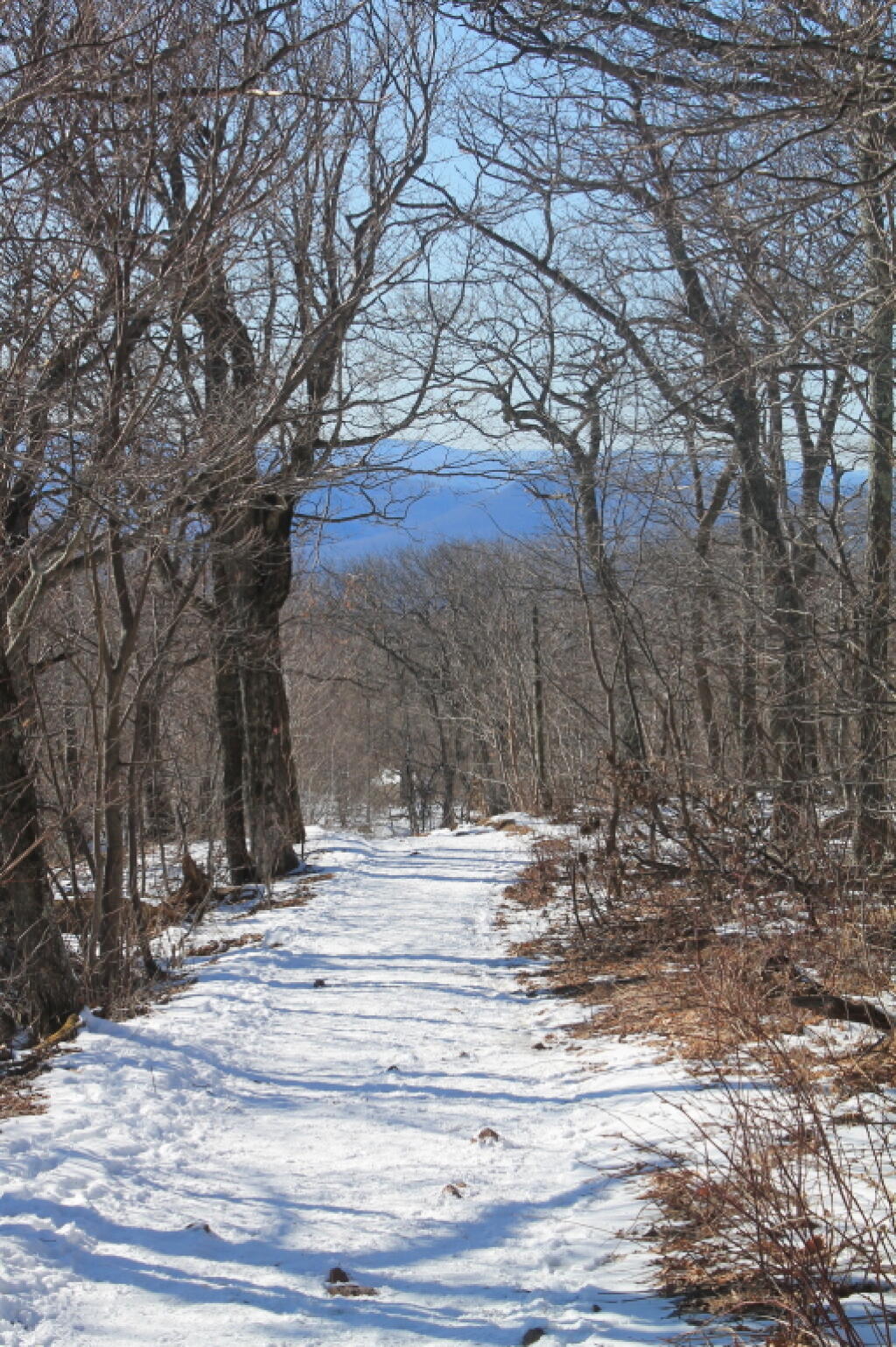 Photo: Looking Back Down the Mountain Photo: Looking Back Down the Mountain