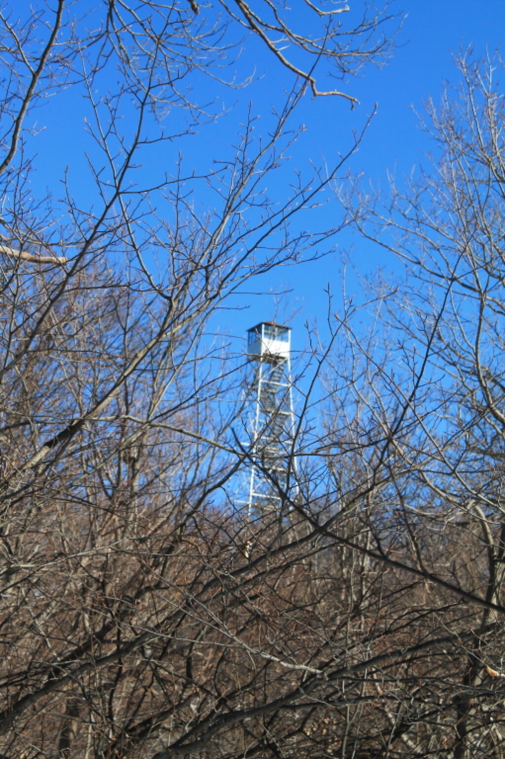 Photo: There's the Firetower Photo: There's the Firetower