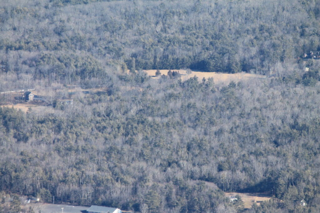 Photo: Field in the Woods Photo: Field in the Woods