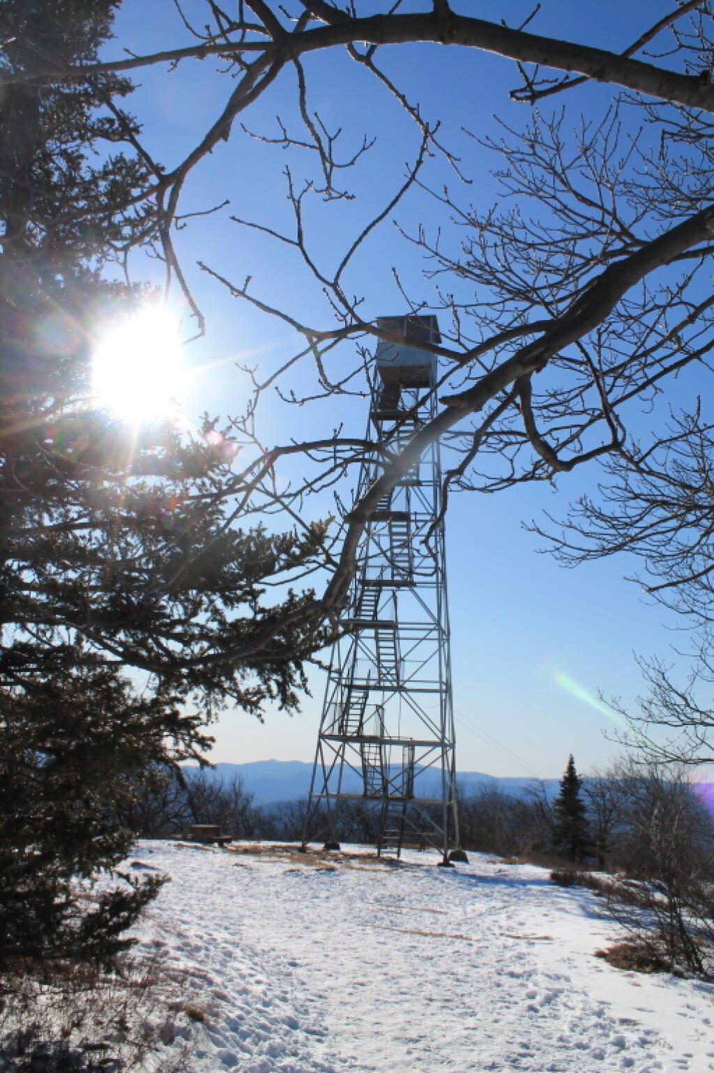 Photo: The Tower Photo: The Tower